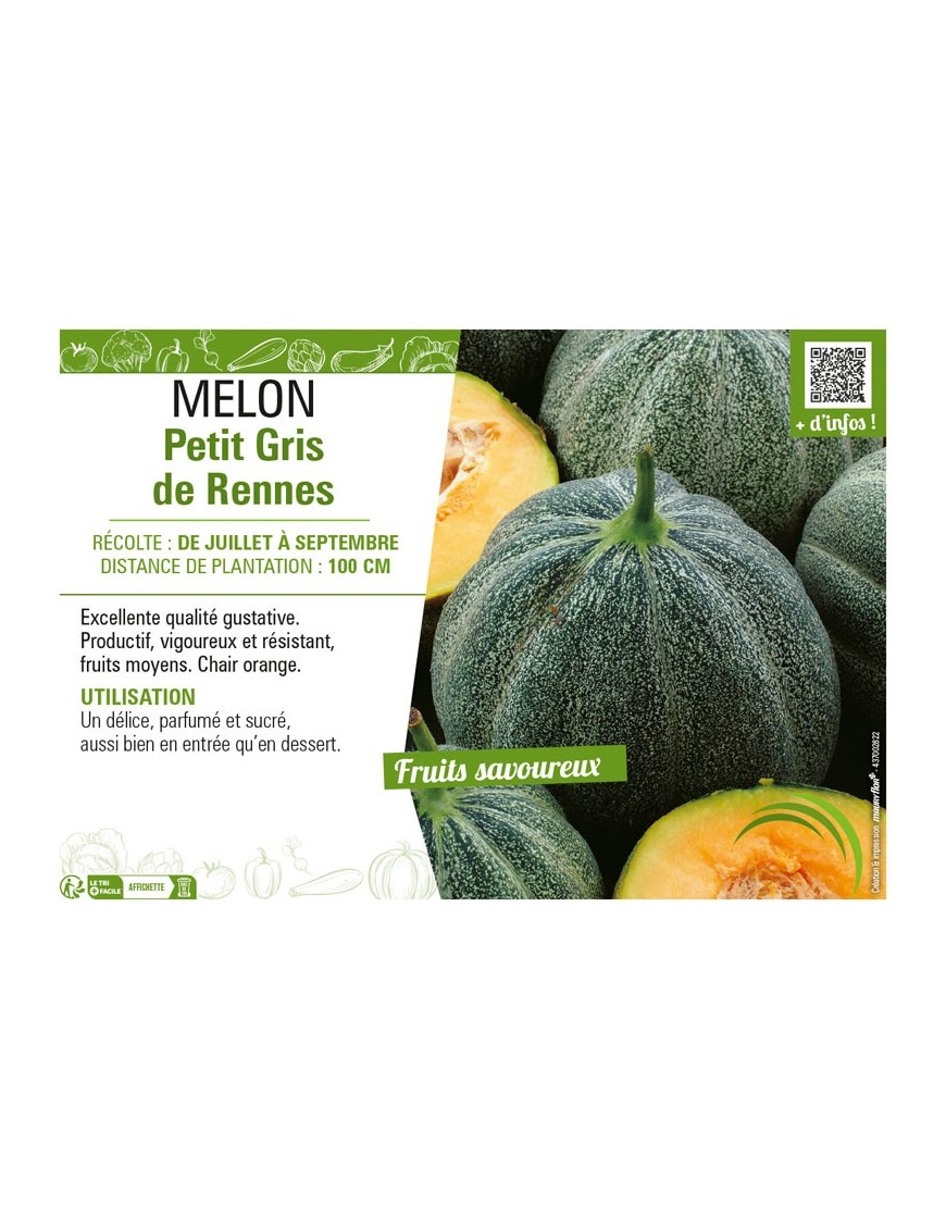 MELON PETIT GRIS DE RENNES