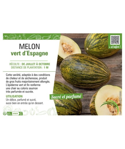 MELON VERT D'Espagne