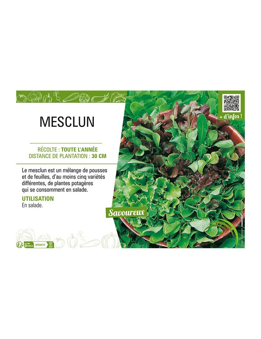 MESCLUN