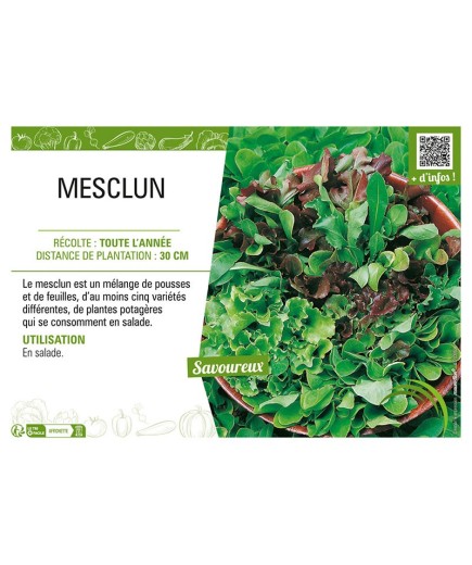 MESCLUN