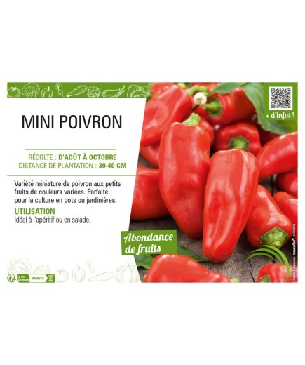 MINI POIVRON