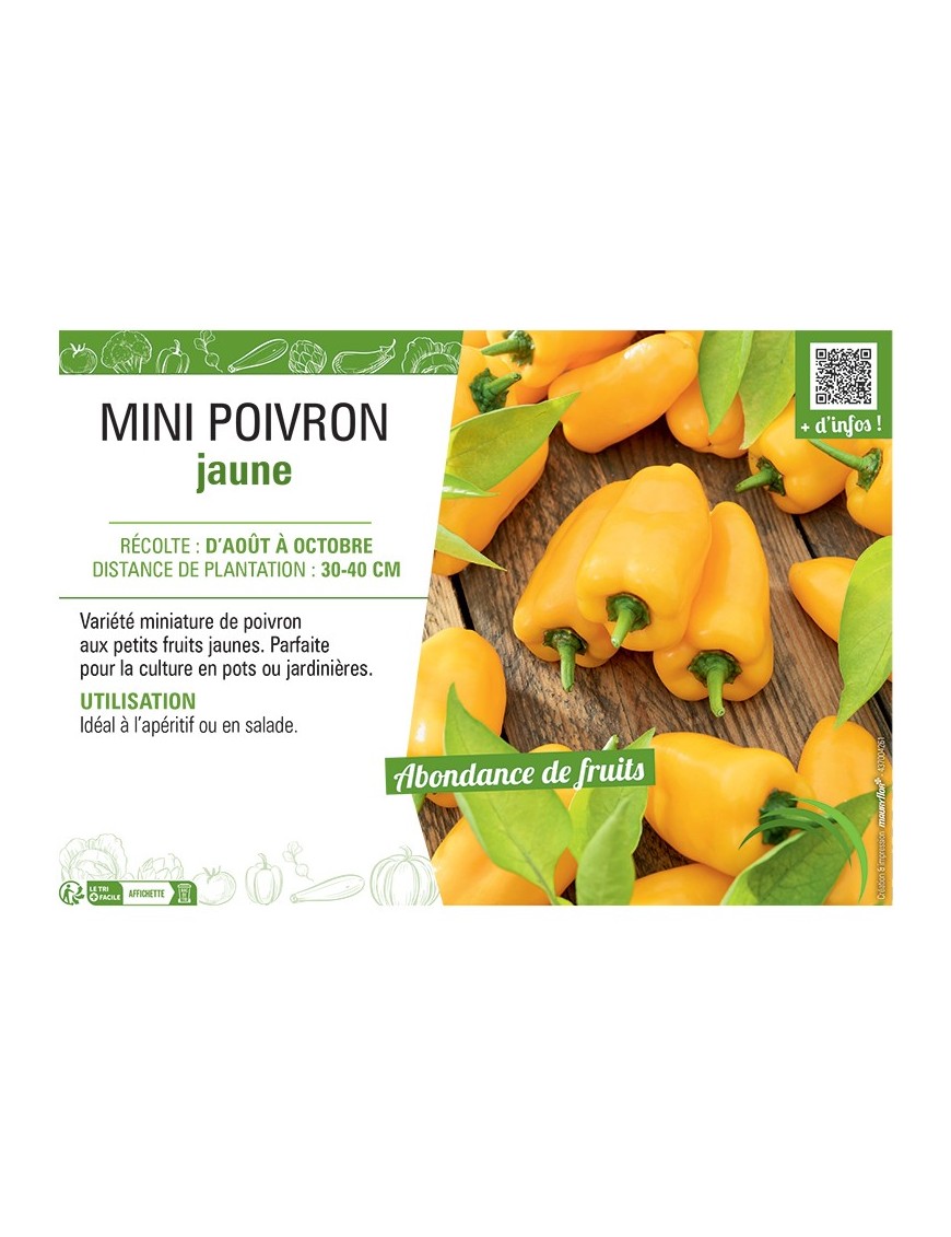 MINI POIVRON JAUNE