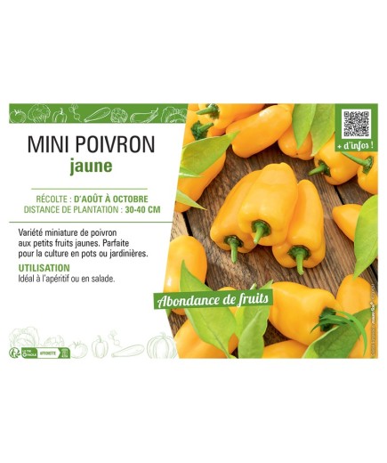 MINI POIVRON JAUNE