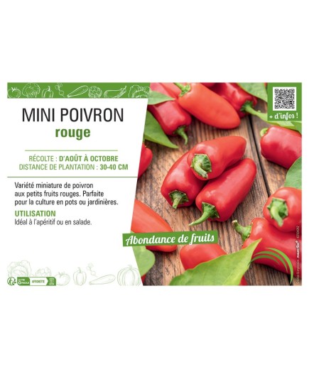 MINI POIVRON ROUGE