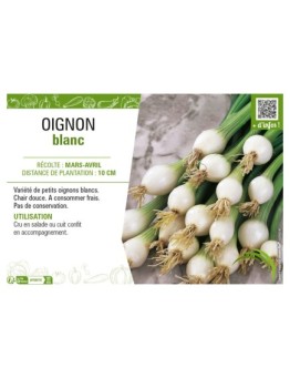OIGNON BLANC