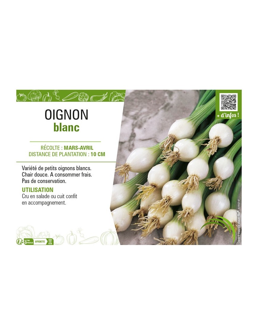 OIGNON BLANC