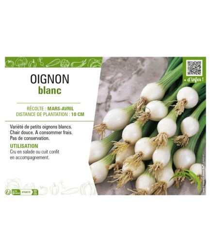 OIGNON BLANC