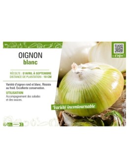 OIGNON BLANC (APLATI)