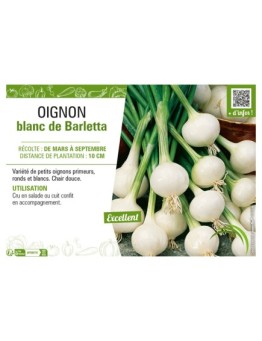 OIGNON BLANC DE BARLETTA