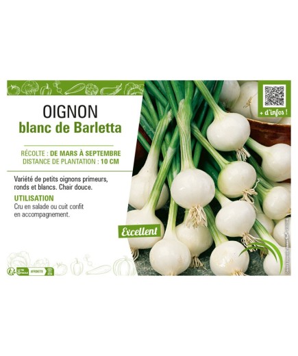 OIGNON BLANC DE BARLETTA