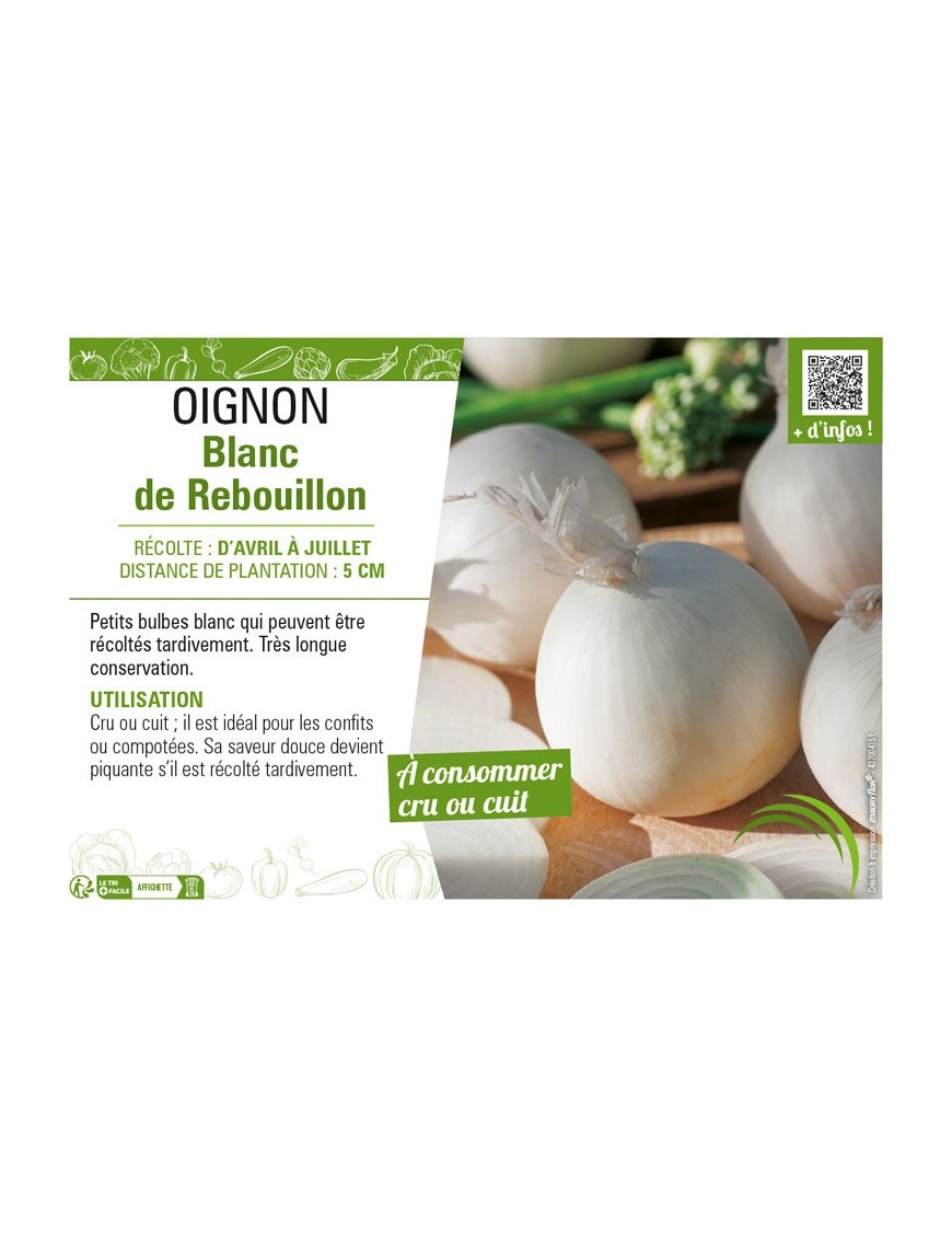 OIGNON BLANC DE REBOUILLON