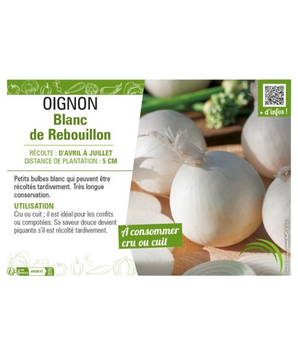 OIGNON BLANC DE REBOUILLON