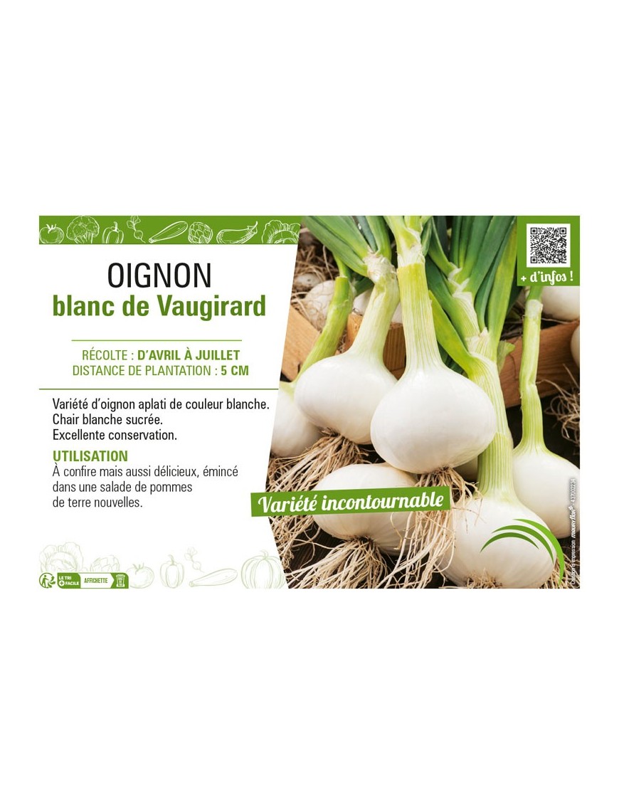 OIGNON BLANC DE VAUGIRARD