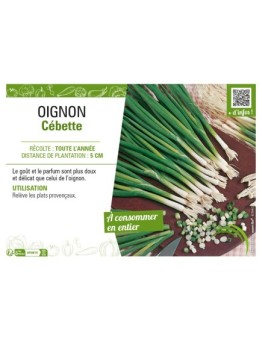 OIGNON CÉBETTE