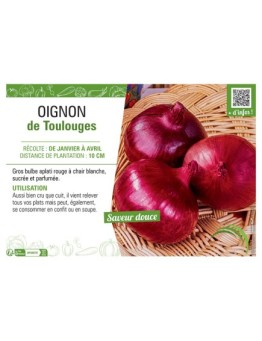 OIGNON DE TOULOUGES