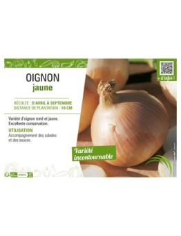 OIGNON JAUNE