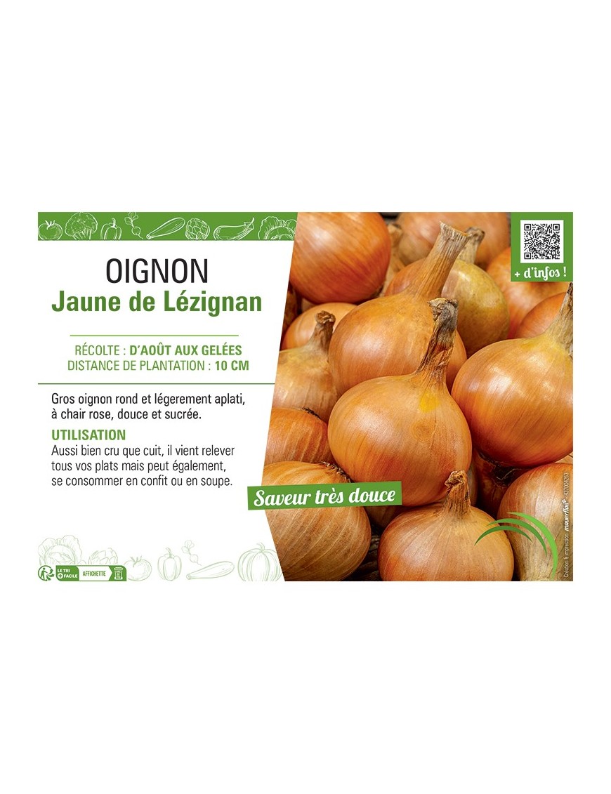 OIGNON JAUNE DE LEZIGNAN