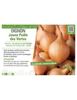 OIGNON JAUNE PAILLE DES VERTUS