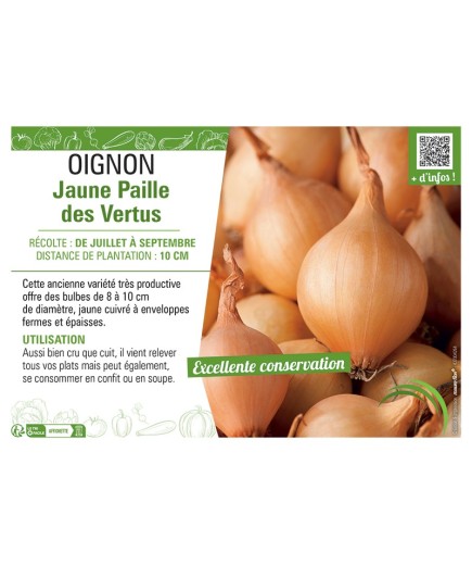 OIGNON JAUNE PAILLE DES VERTUS