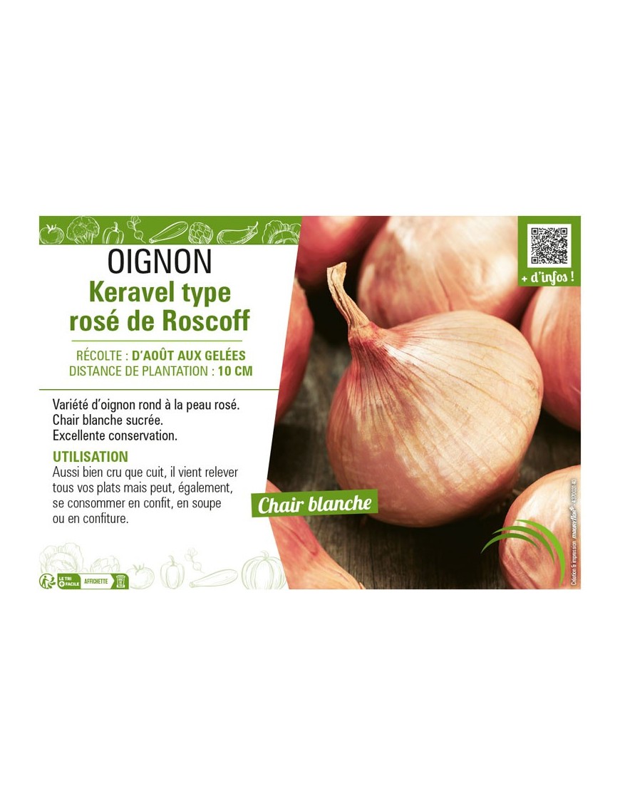 OIGNON KERAVEL TYPE ROSÉ DE ROSCOFF