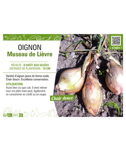 OIGNON MUSEAU DE LIEVRE