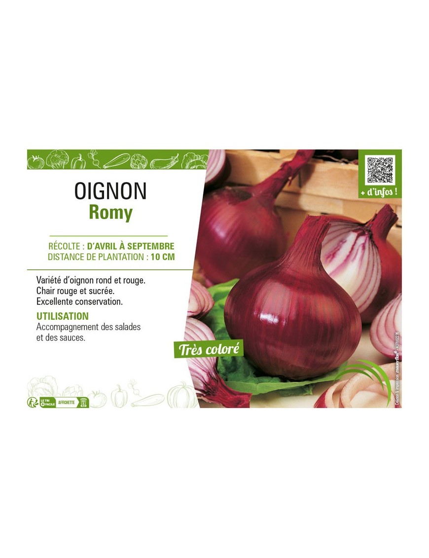 OIGNON ROMY