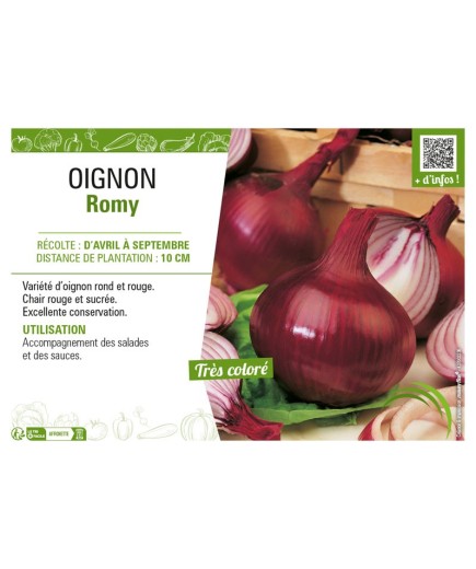 OIGNON ROMY