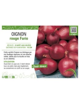 OIGNON ROUGE FURIO