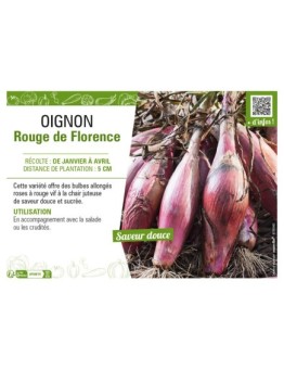 OIGNON ROUGE DE FLORENCE