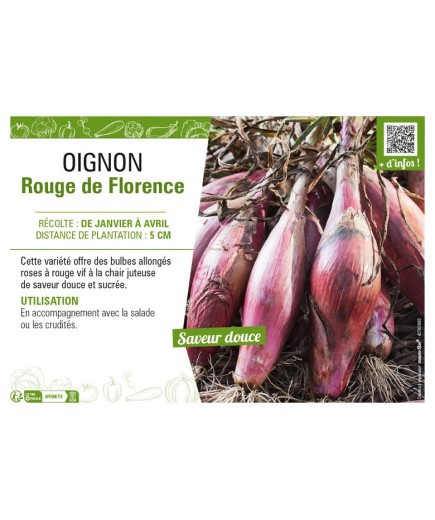 OIGNON ROUGE DE FLORENCE