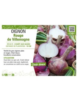OIGNON ROUGE DE VILLEMAGNE