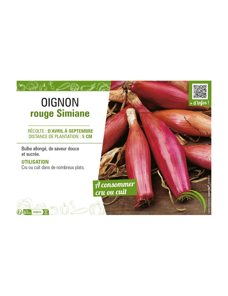 OIGNON ROUGE SIMIANE