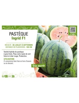 PASTÈQUE INGRID F1