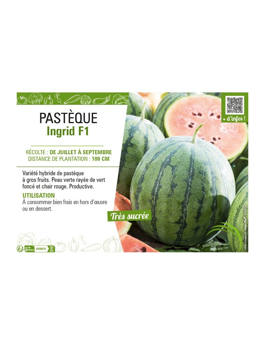 PASTÈQUE INGRID F1