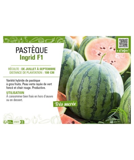 PASTÈQUE INGRID F1