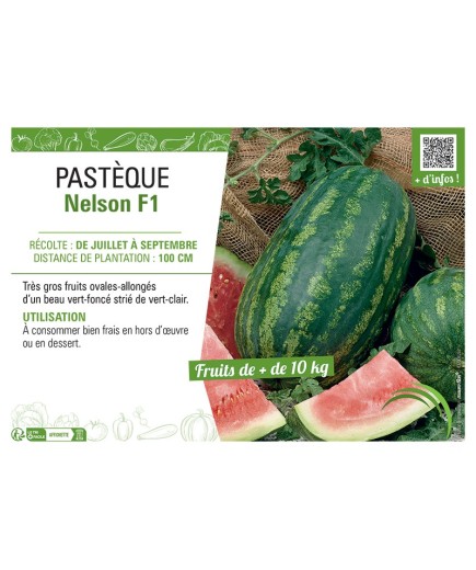PASTÈQUE NELSON F1