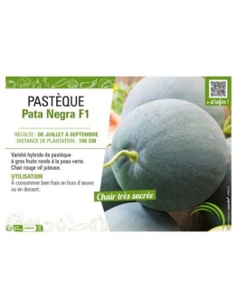 PASTÈQUE PATA NEGRA F1