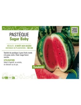 PASTÈQUE SUGAR BABY