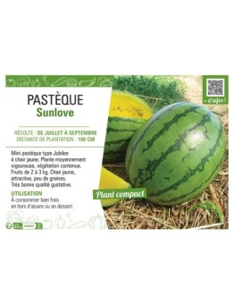 PASTÈQUE SUNLOVE
