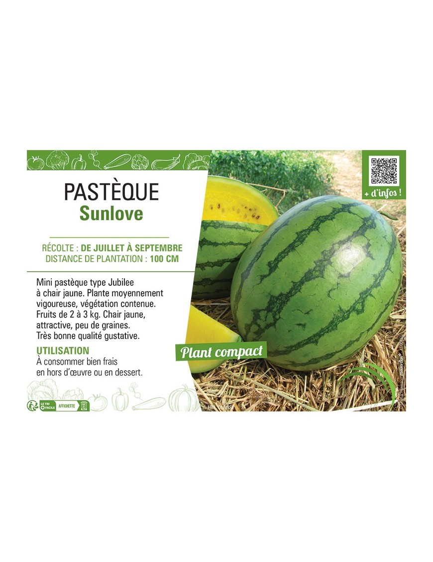PASTÈQUE SUNLOVE