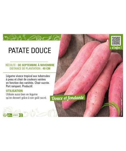 PATATE DOUCE