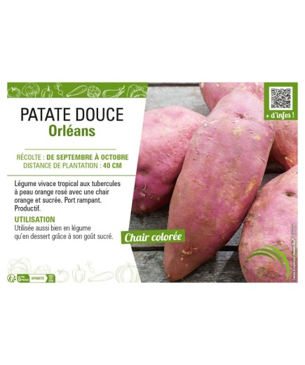 PATATE DOUCE ORLEANS