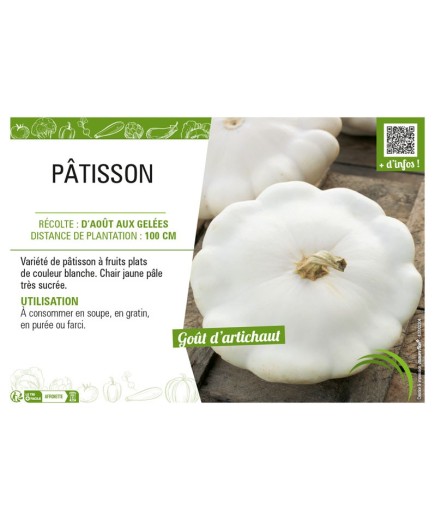 PÂTISSON (BLANC)