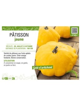 PÂTISSON JAUNE