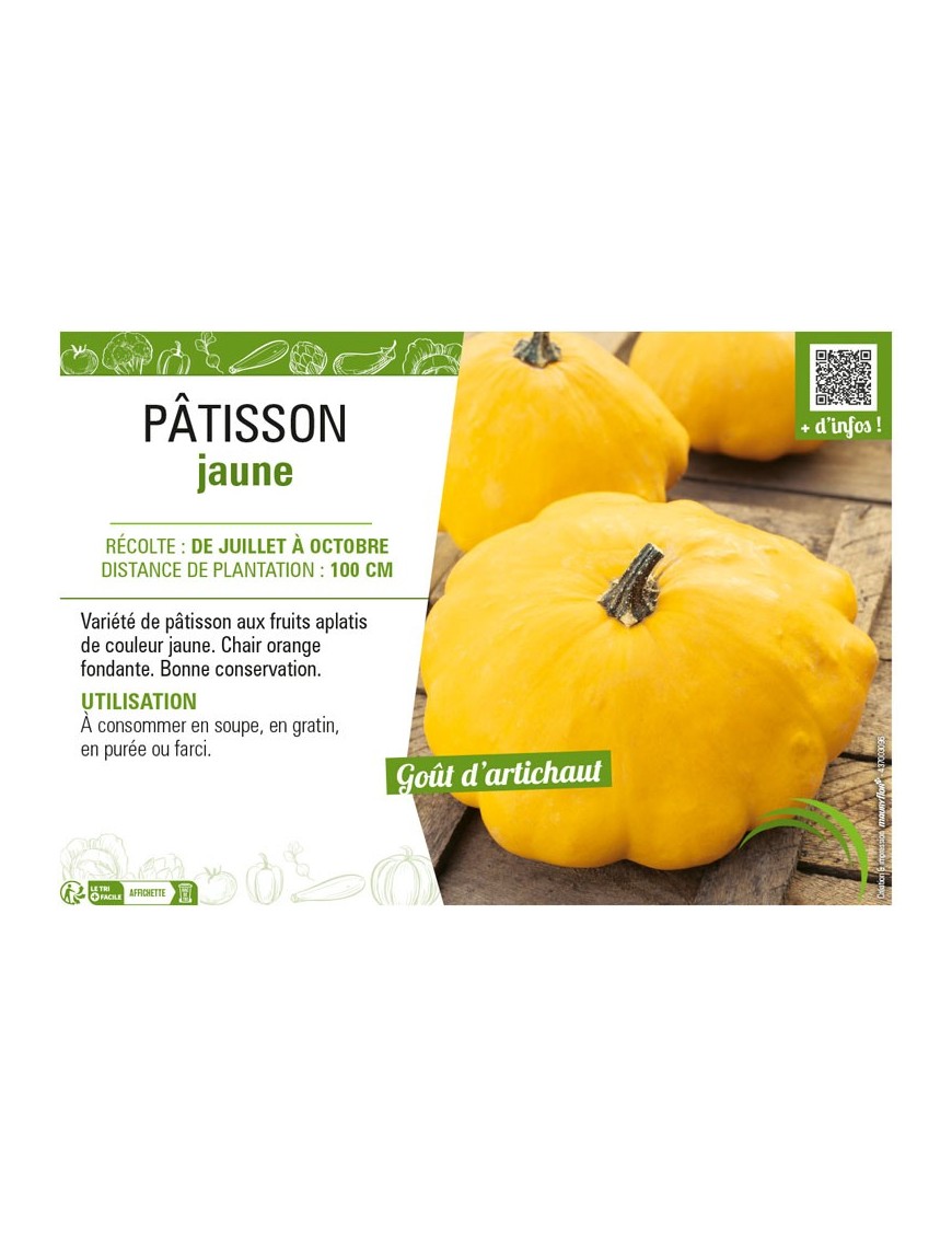 PÂTISSON JAUNE