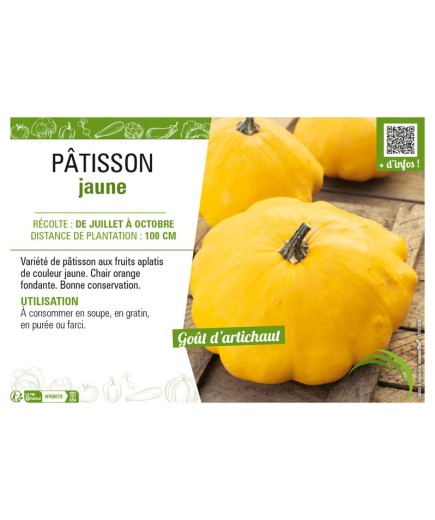 PÂTISSON JAUNE