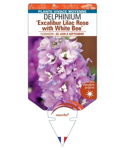 DELPHINIUM (elatum) Excalibur Lilac Rose with White Bee