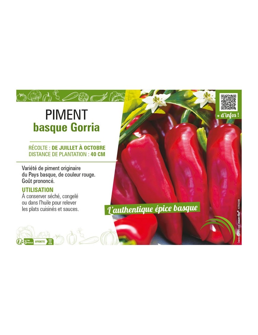 PIMENT BASQUE GORRIA (TYPE ESPELETTE)