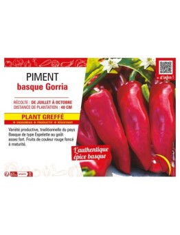 PIMENT BASQUE GORRIA (TYPE ESPELETTE) Plant greffé