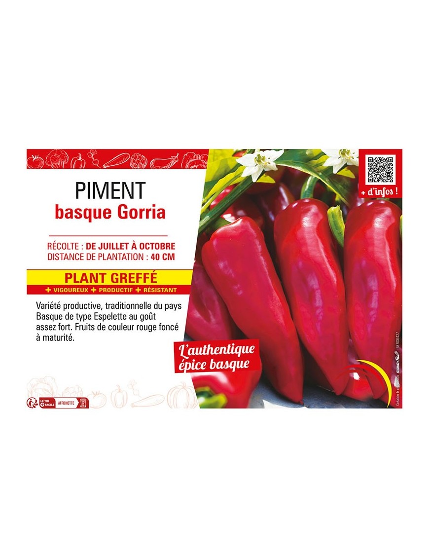 PIMENT BASQUE GORRIA (TYPE ESPELETTE) Plant greffé